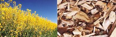 Biomassa: Koolzaad(-olie) en houtsnippers.