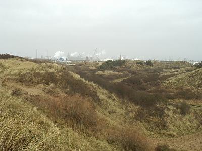 Horizonvervuiling vanuit de duinen.