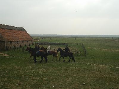 Recreatieheide: Vliegers, paarden, honden en mensen.