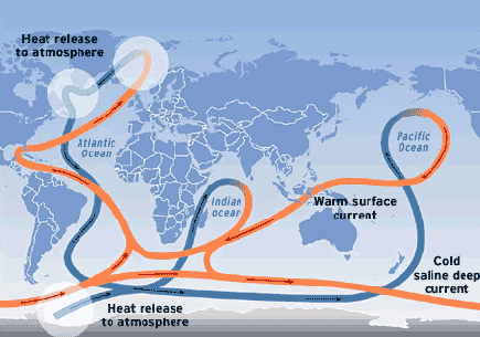 Wereldwijde thermohaliene circulatie.