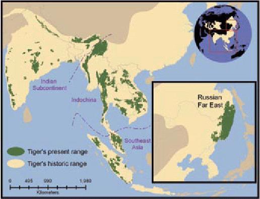 Afname leefgebied tijgers in Azi.
