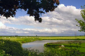 Vergelijking biodiversiteit Nederland, Europa en de wereld.