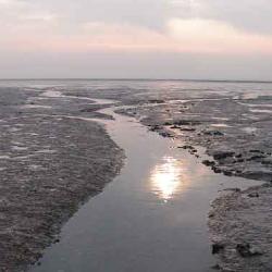 Waddenzee